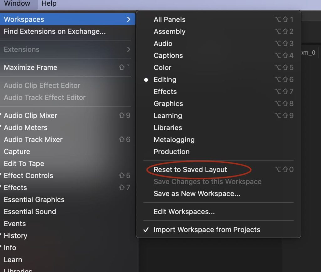 Reset workspace layout in Premiere